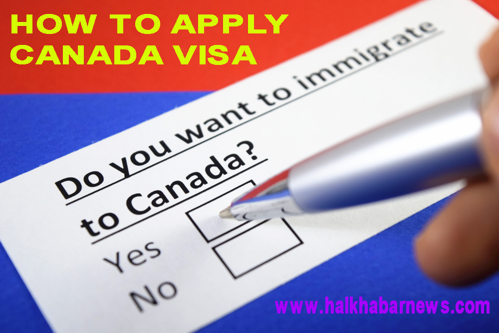 Can I Apply For Canada Visa Online