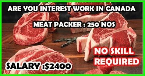 Meat Packer Jobs in Canada 2023 | Urgent Hiring - Apply Now