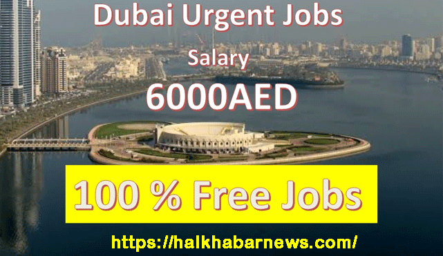 Polisher Jobs in Dubai
