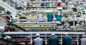 Factory Line Worker