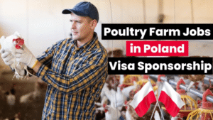 Poultry farm jobs in Poland