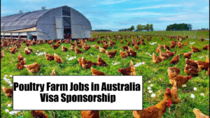 Poultry farm worker needed in Australia without experience