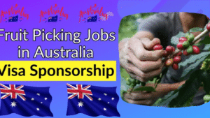 Fruit picking jobs with Visa Sponsorship Australia
