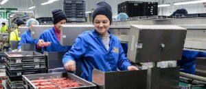 Fruit packer jobs in UK no experience needed