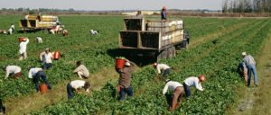 Unskilled jobs in Portugal for foreigners