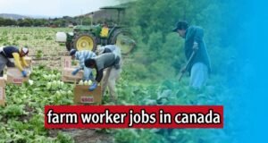 Farm harvesting jobs in Canada
