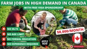 Fruit farm worker job in Canada without experience