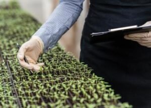 Agricultural Technicians Jobs in Australia