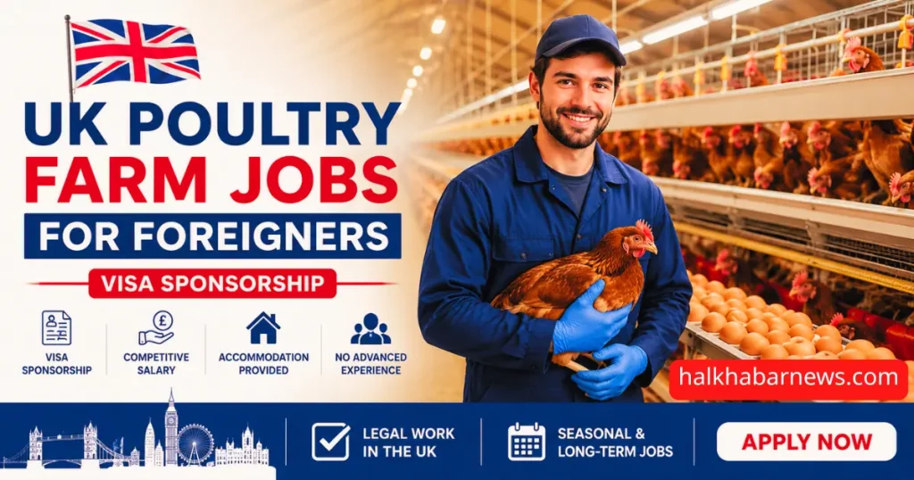 UK Poultry Farm Jobs for Foreigners